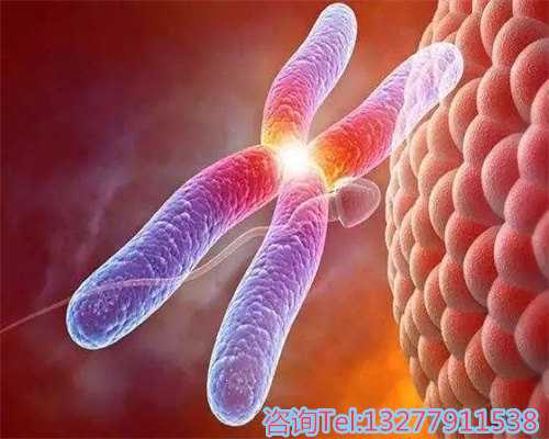 优选囊胚移植指南:3bc与6bc囊胚优势解析及小贴士