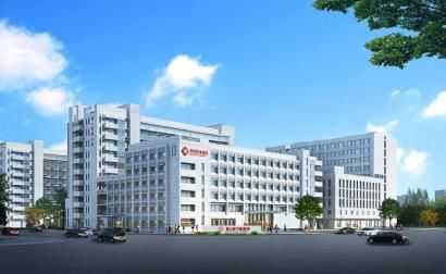 私人助孕移植需求解析:从成功案例中寻找答案