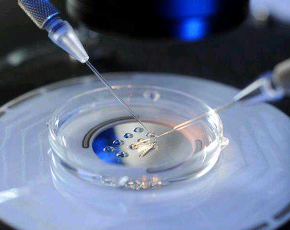 婴儿体温异常全指南:守护宝宝健康的关键措施