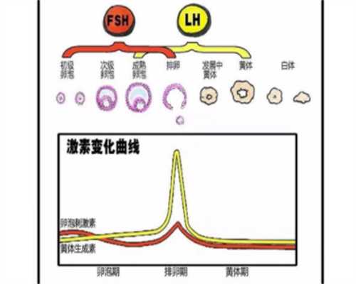 吸氧对专业代孕机构有影响吗