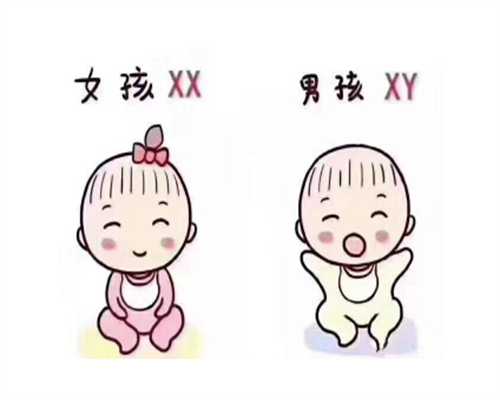 备孕期间饮食与注意事项全解析