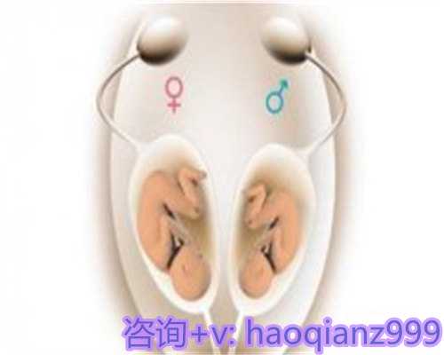 重庆试管婴儿包怀孕,重庆试管婴儿价格
