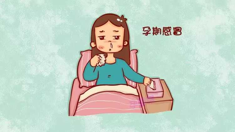 试管婴儿冷冻借卵生娃技术风险解析