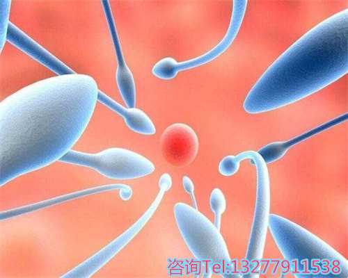 2026年泰国SuperiorART医院试管婴儿费用详细解析