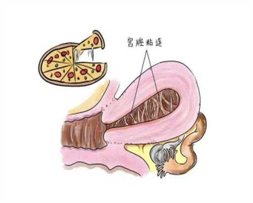 13周胎儿发育状况与孕期保健指南