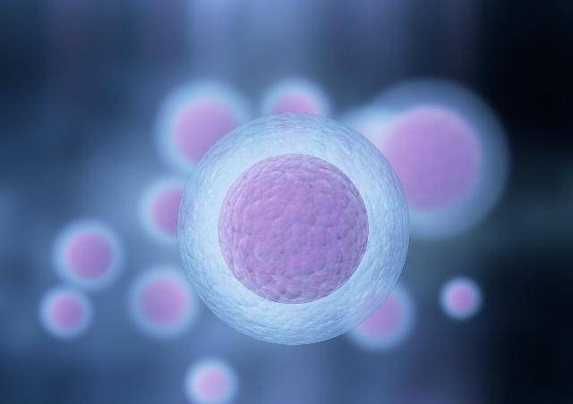 胎儿性别预测：B超单数据与形状解读