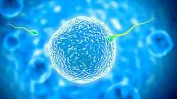 囊胚移植着床时间与输卵管粘连的助孕解决方案