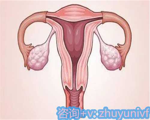 重庆供卵机构可靠性与胎动指南解析