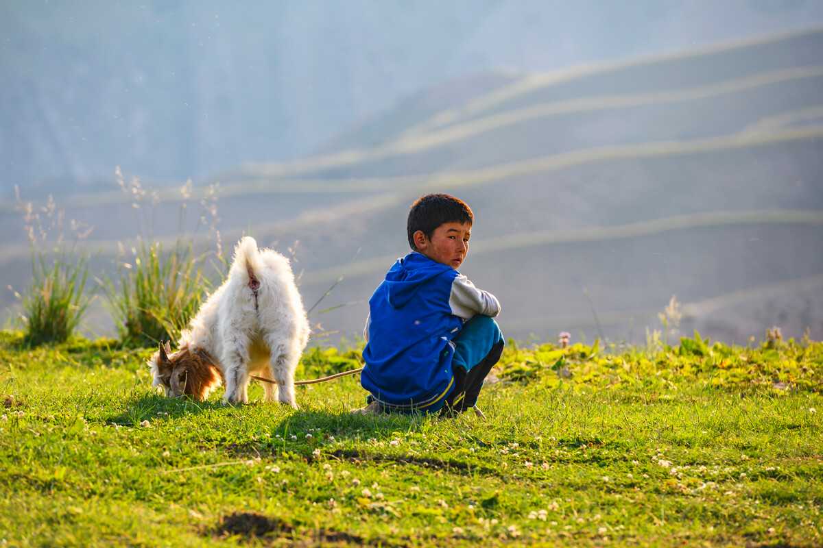 孕期营养美食:小熊紫菜寿司,助孕滋补又美味