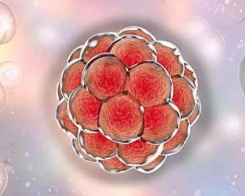 高龄二胎供卵三代试管费用计算指南