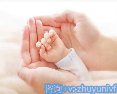 睾丸片功效解析与备孕期间服用指南