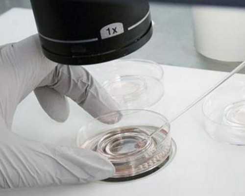 新生儿喂养难题解析：不喂奶就哭闹的原因与应对