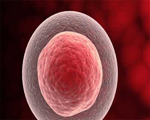 试管婴儿医院选择与助孕技术解析